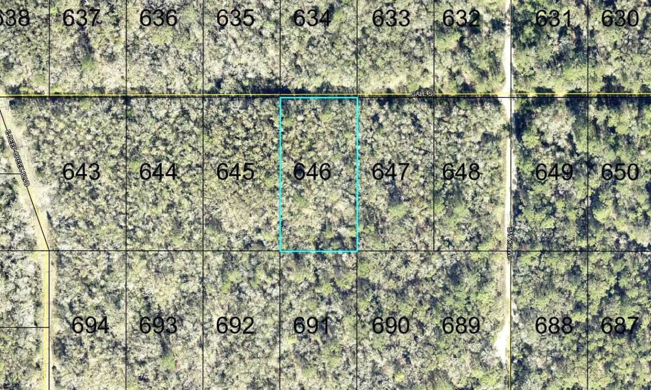 646 Gale St, Hastings, FL 32145