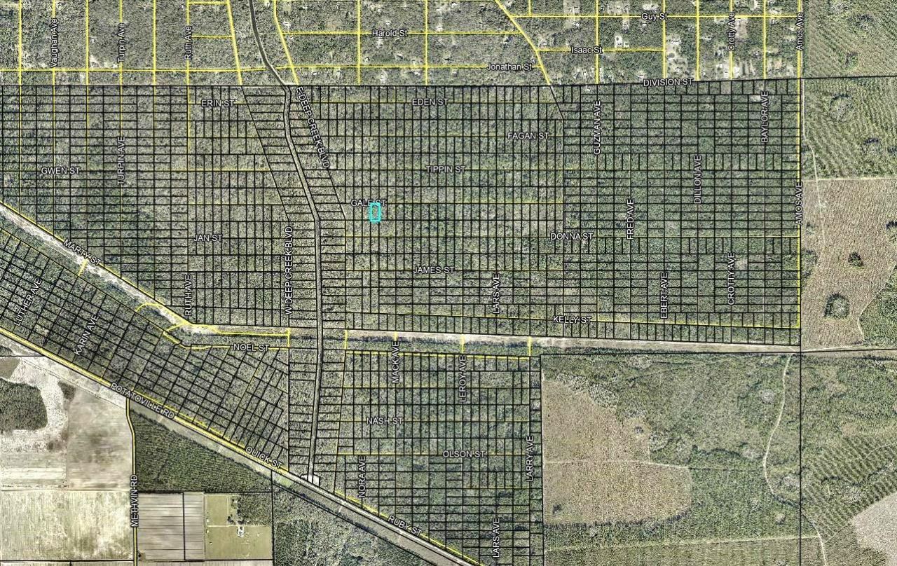Photo 3 of 646 Gale St, Hastings, FL 32145