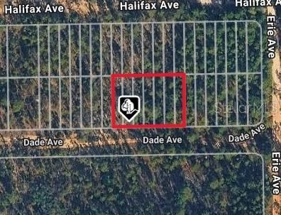 Dade Ave, Interlachen, FL 32148