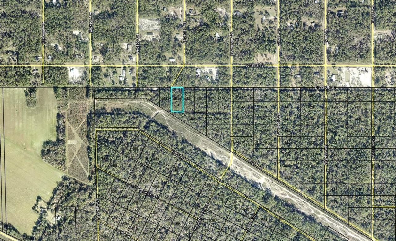 Photo 2 of 463 Division St, Hastings, FL 32145