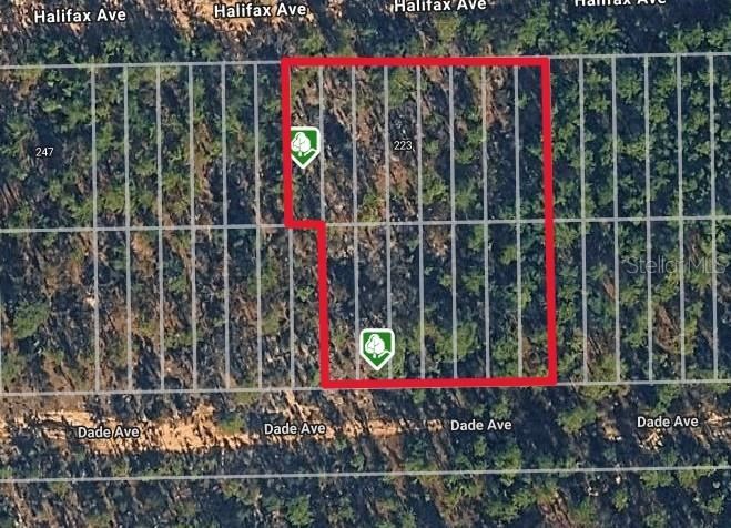 Photo 2 of Halifax Ave, Interlachen, FL 32148