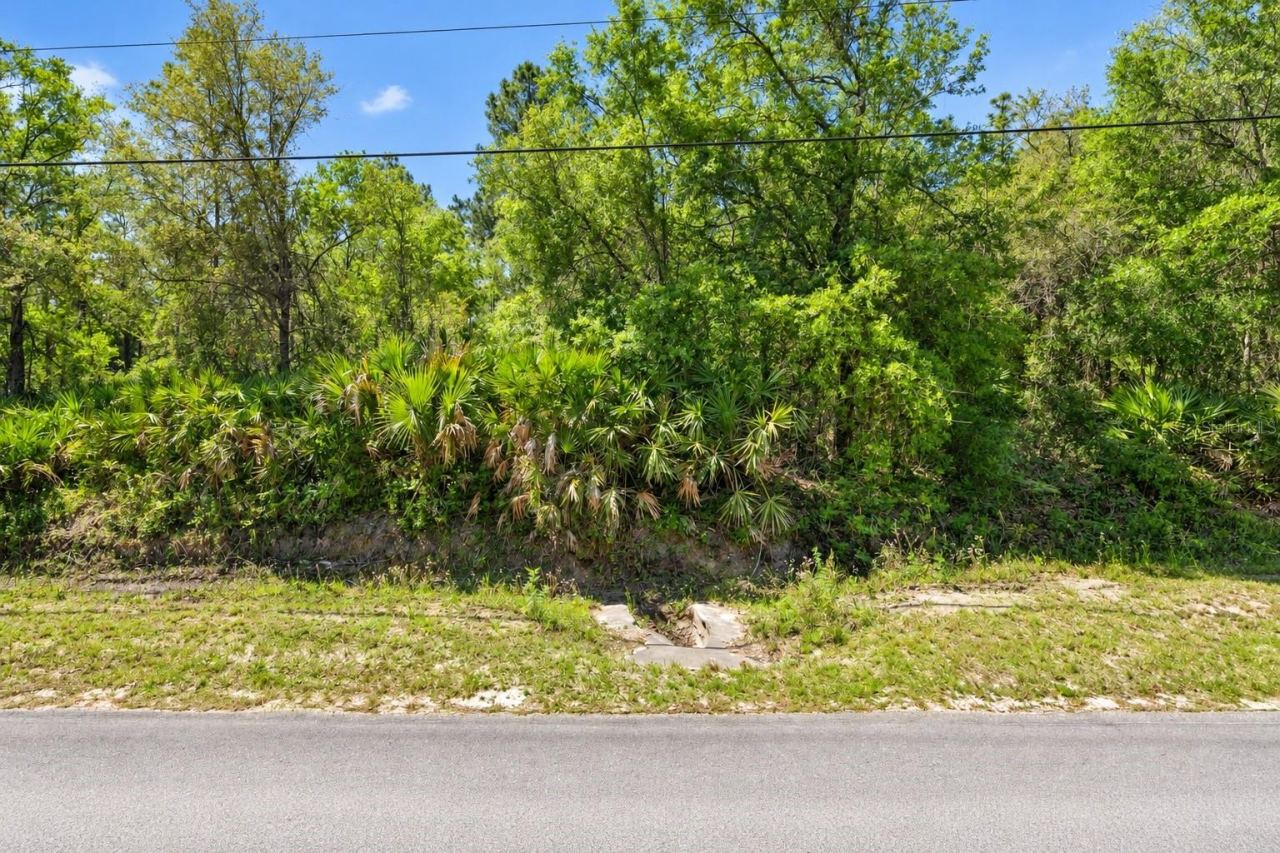 Photo 4 of 2534 Lancewood St, Bunnell, FL 32110