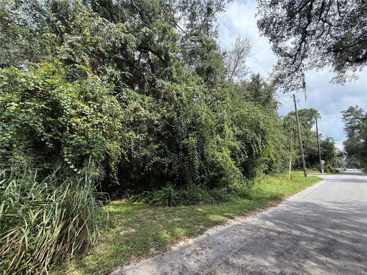 Photo 3 of 10th St, Orange City, FL 32763