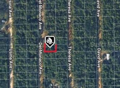 920 Del Monaco Ave, Interlachen, FL 32148