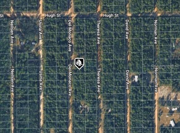 Photo 3 of 920 Del Monaco Ave, Interlachen, FL 32148