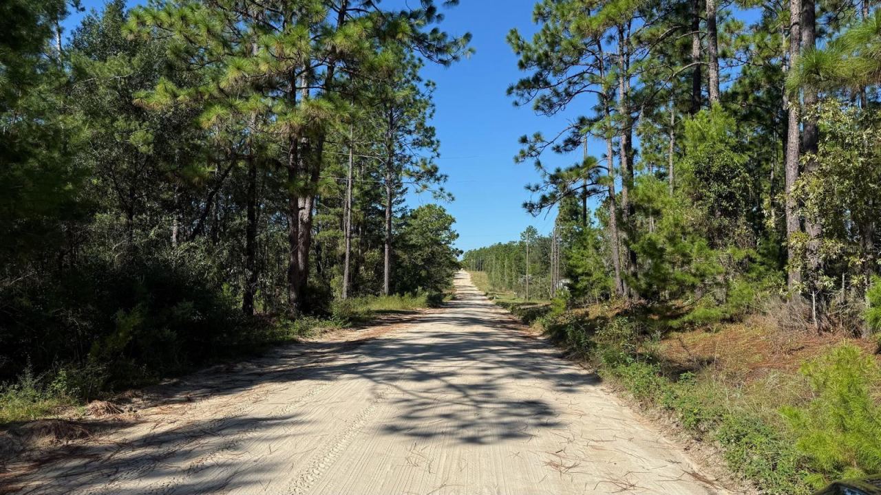 Photo 2 of 113 Rome Ave, Interlachen, FL 32148