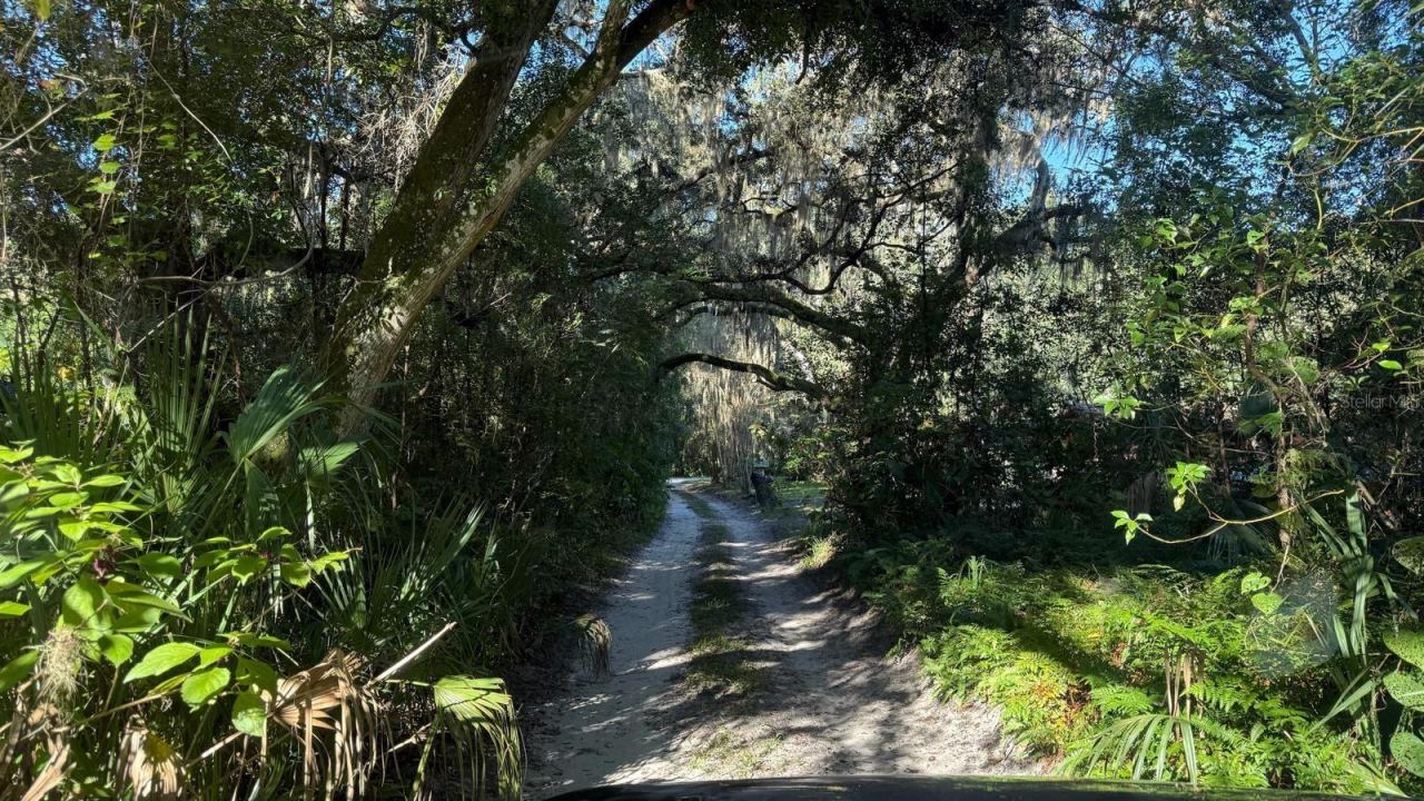 Photo 3 of 107 1st St, Crescent City, FL 32112