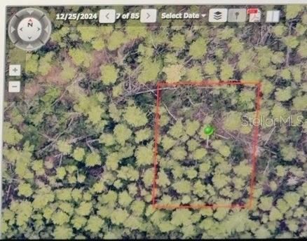 Photo 3 of 1 Werley Trl, Deland, FL 32720