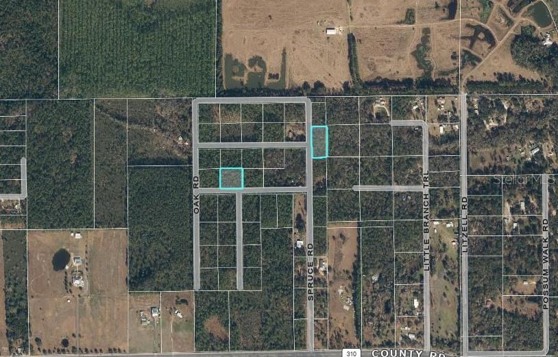 Spruce Road, Interlachen, FL 32148