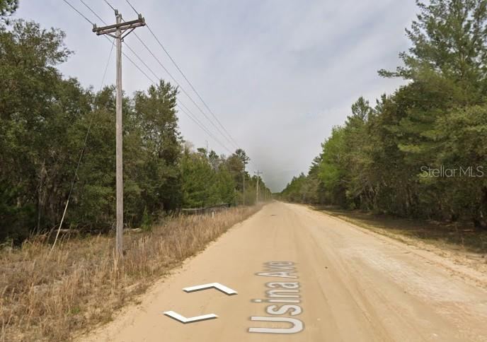 Photo 2 of Usina Ave, Interlachen, FL 32148