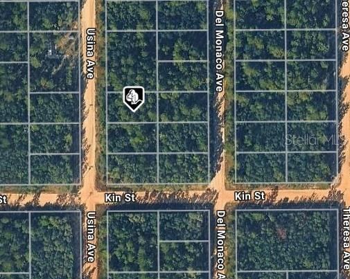 Photo 3 of Usina Ave, Interlachen, FL 32148