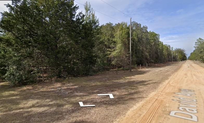 Photo 3 of David Ave, Interlachen, FL 32148