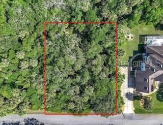 31 Deerwood St, Palm Coast, FL 32137