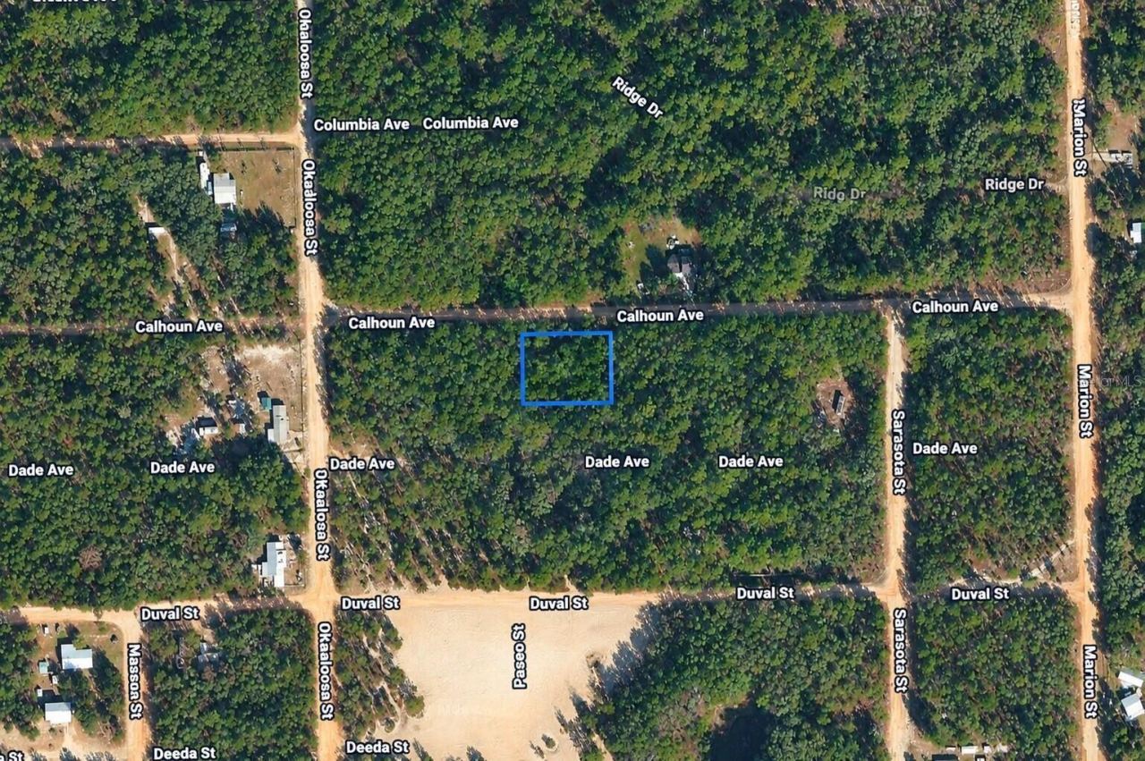 313 Calhoun Ave, Florahome, FL 32140