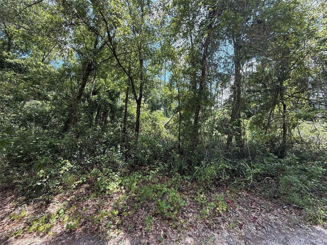 Photo 2 of 313 Calhoun Ave, Florahome, FL 32140