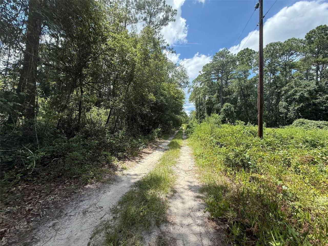 Photo 3 of 313 Calhoun Ave, Florahome, FL 32140