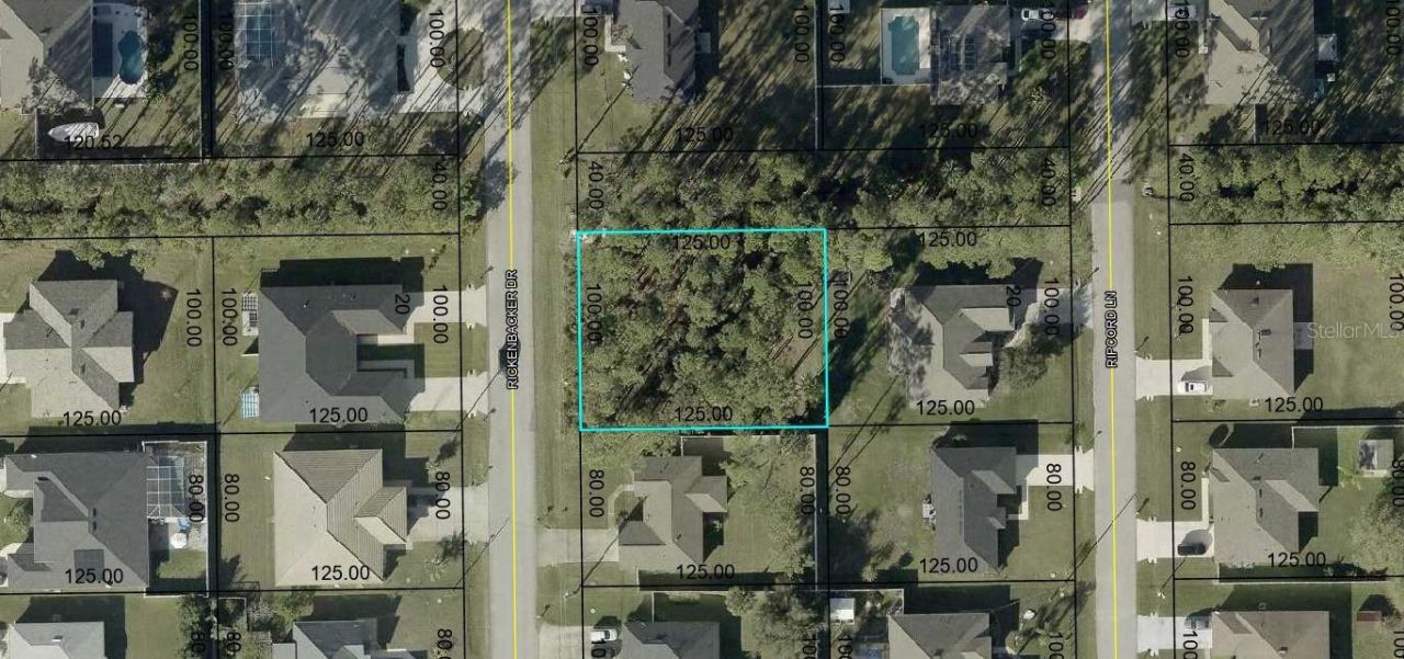 97 Rickenbacker Dr, Palm Coast, FL 32164