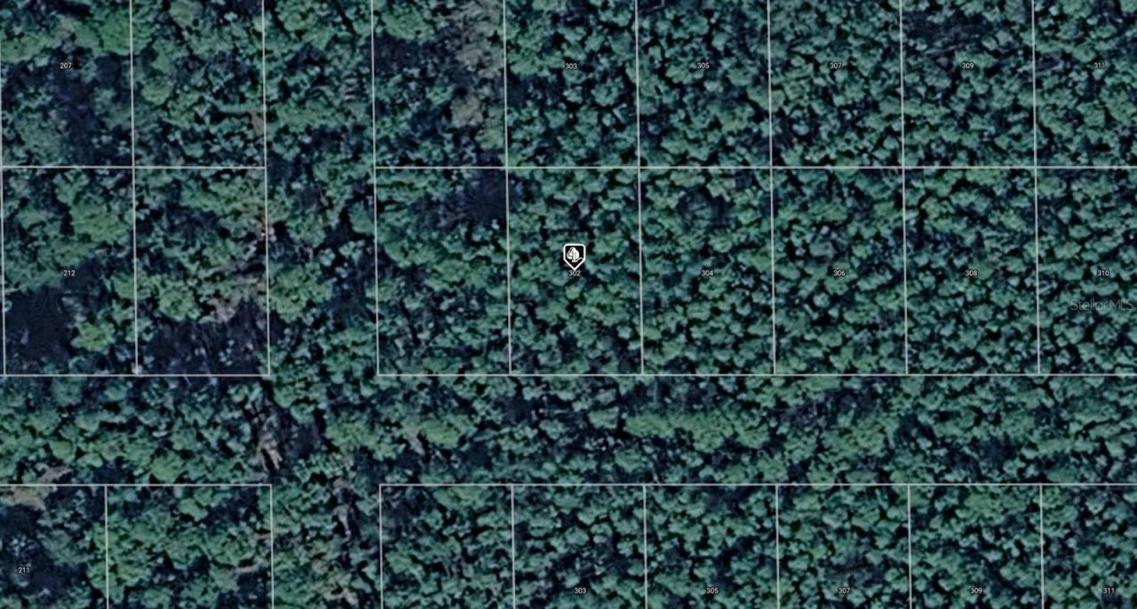 302 Siesta Dr, Georgetown, FL 32139