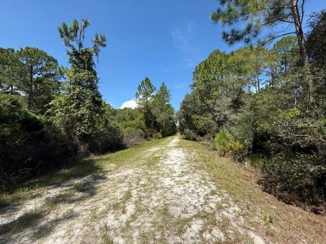 Photo 2 of 337 Palm Way, Georgetown, FL 32139