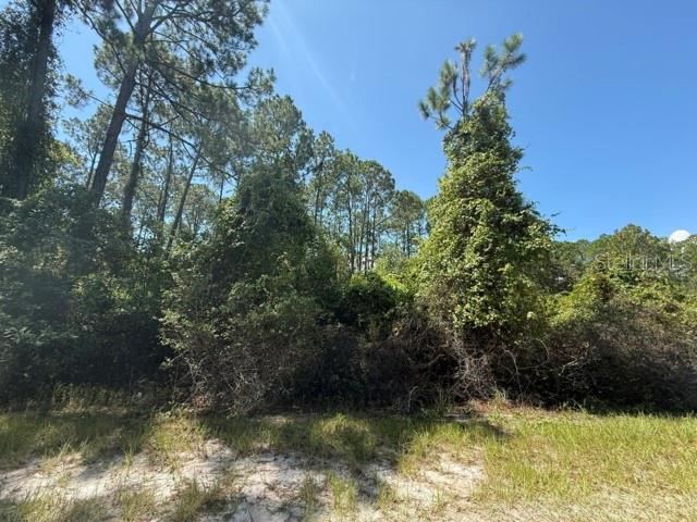 Photo 3 of 337 Palm Way, Georgetown, FL 32139