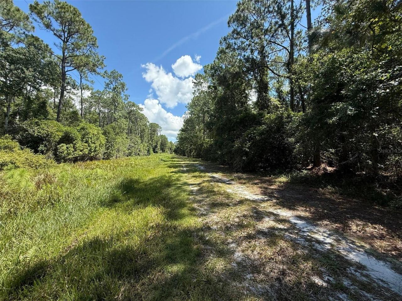 Photo 2 of 210 Se 2nd St, Georgetown, FL 32139