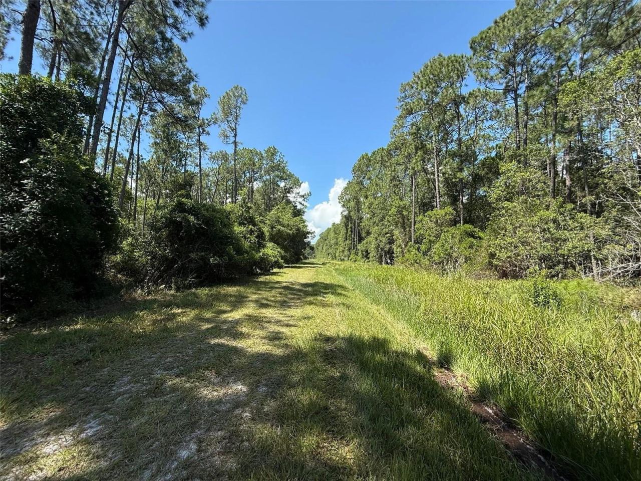 Photo 3 of 210 Se 2nd St, Georgetown, FL 32139