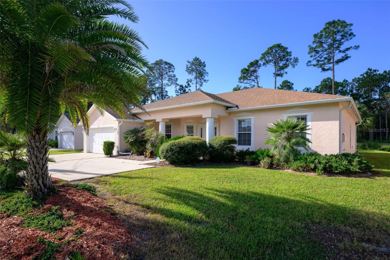 46 Llama Trl, Palm Coast