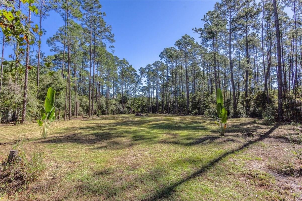 Photo 3 of 1451 Hickory St., Bunnell, FL 32110