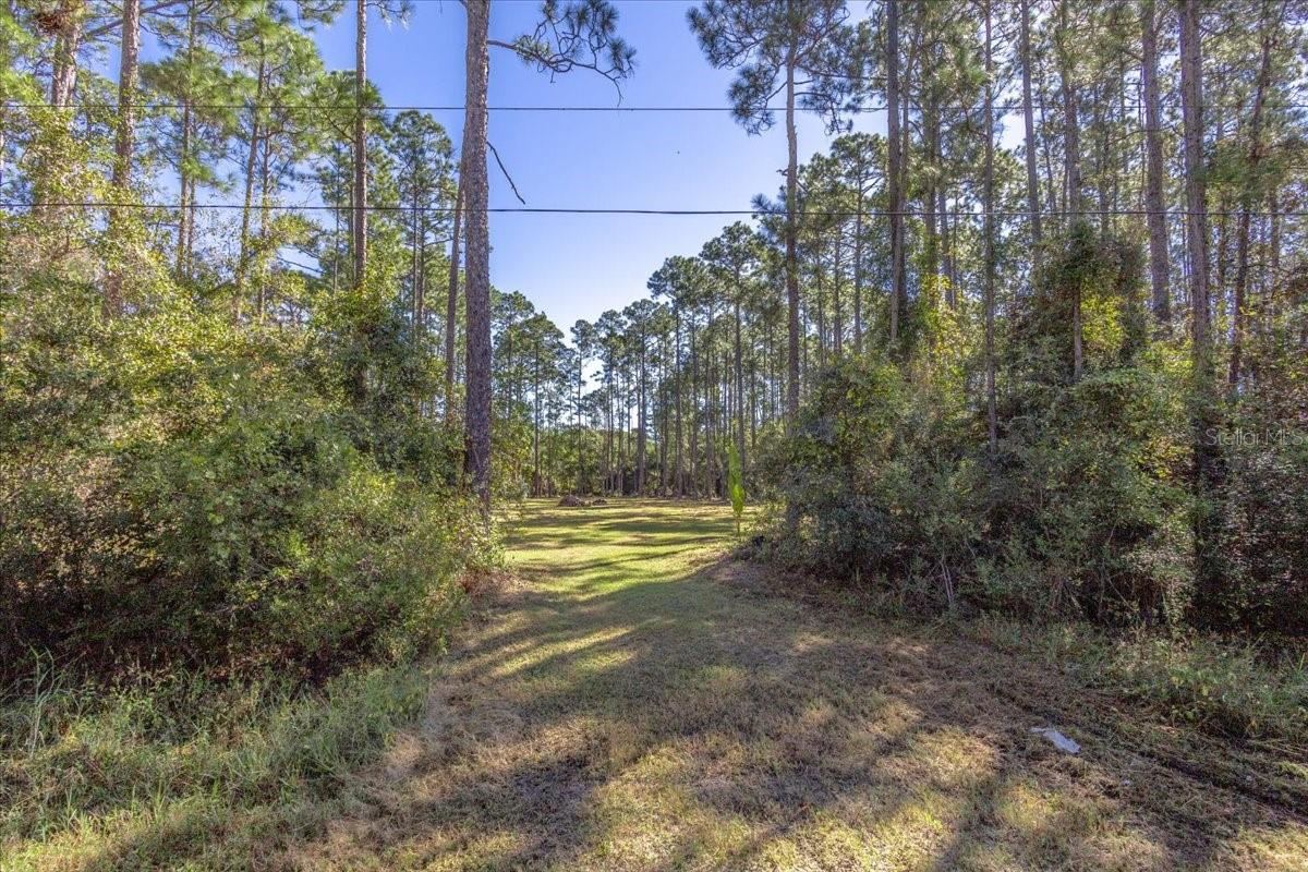 Photo 5 of 1451 Hickory St., Bunnell, FL 32110