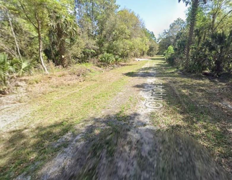 Photo 2 of 112 Chipola Dr, Georgetown, FL 32139