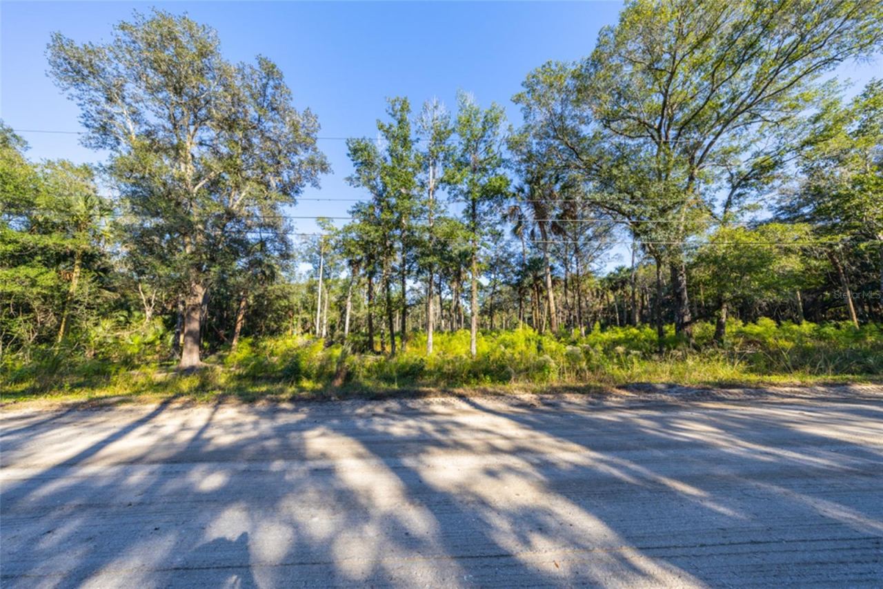 2075 Bayberry St, Bunnell