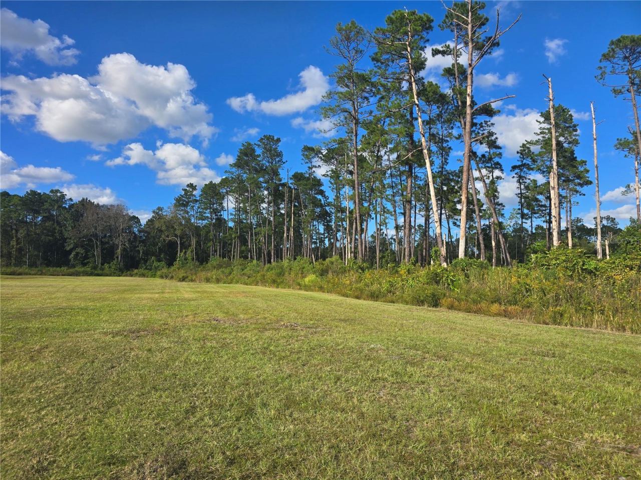 Photo 2 of 160 W Hagstrom Rd, Pierson, FL 32180