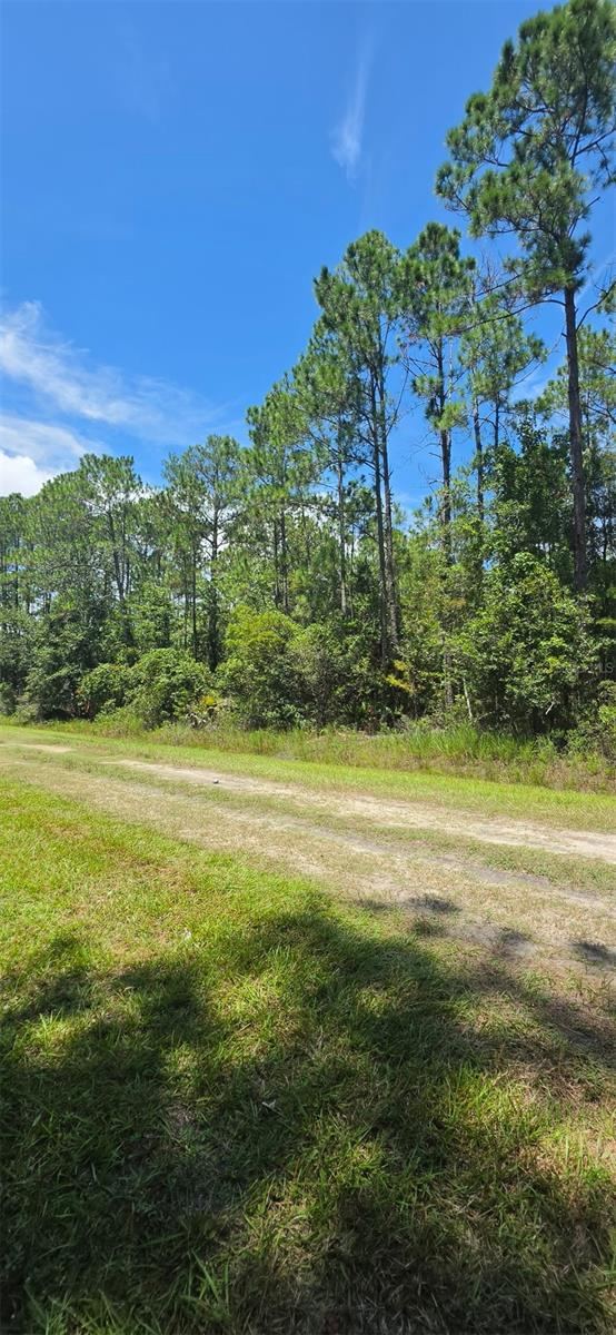 4220 Isaac St, Hastings, FL 32145