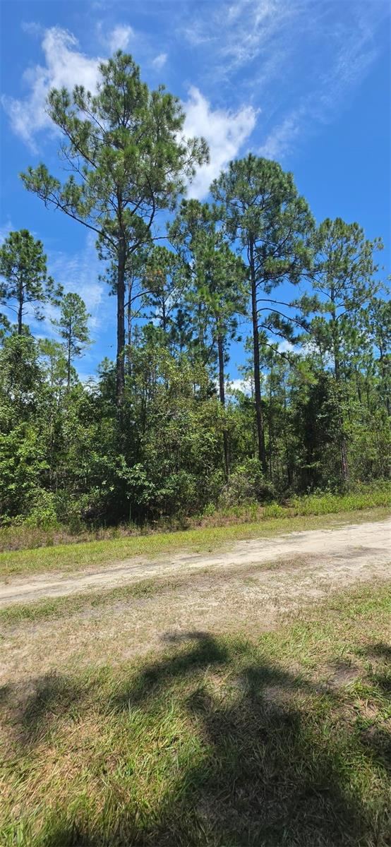 Photo 2 of 4220 Isaac St, Hastings, FL 32145