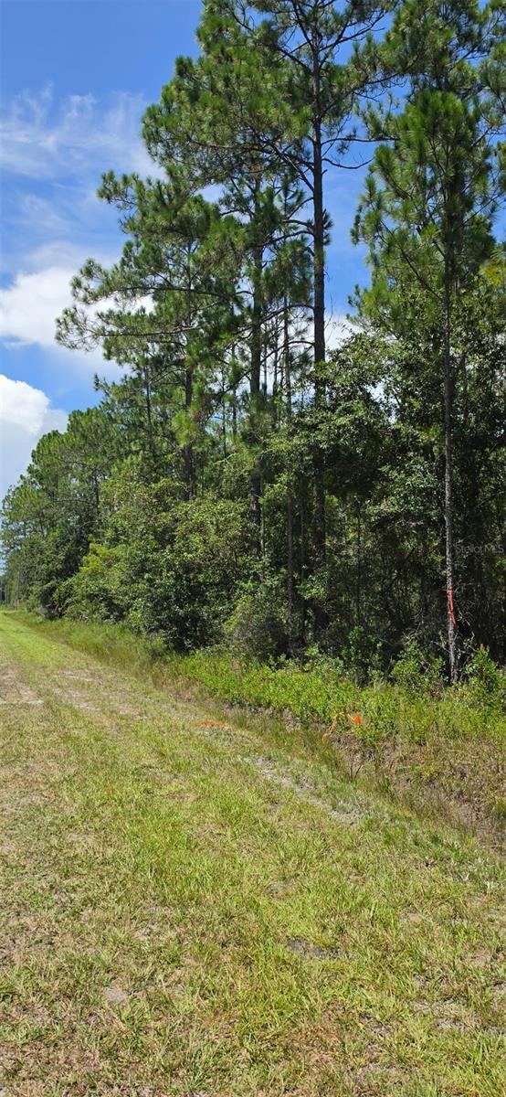 Photo 3 of 4220 Isaac St, Hastings, FL 32145