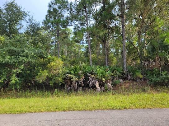 101 Mimosa St, Georgetown, FL 32139