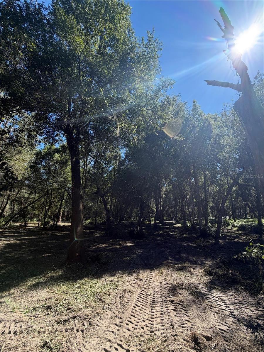 Photo 3 of W Ohio Ave, Lake Helen, FL 32744