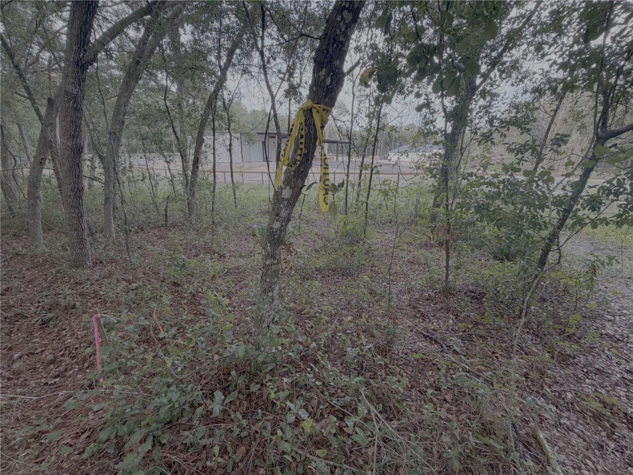 El Paso Ave, Orange City, FL 32763