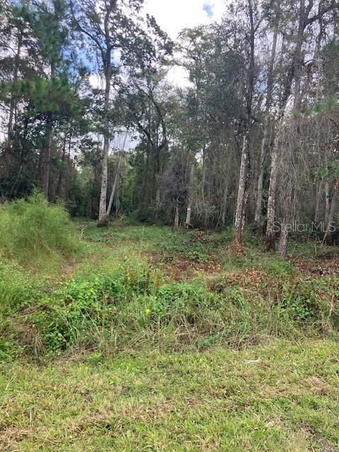 Photo 2 of 1881 Hazelnut St, Bunnell, FL 32110