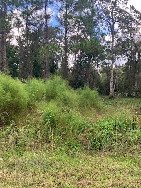 Photo 3 of 1881 Hazelnut St, Bunnell, FL 32110
