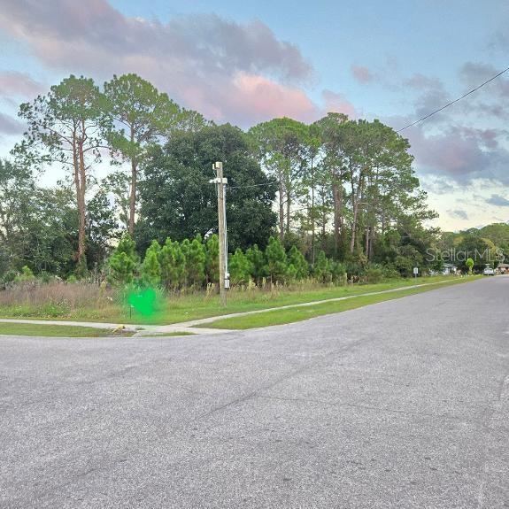 Photo 4 of Tbd S. Anderson St, Bunnell, FL 32110