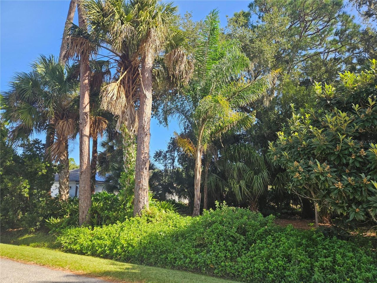 Pine Tree Dr, Edgewater, FL 32141
