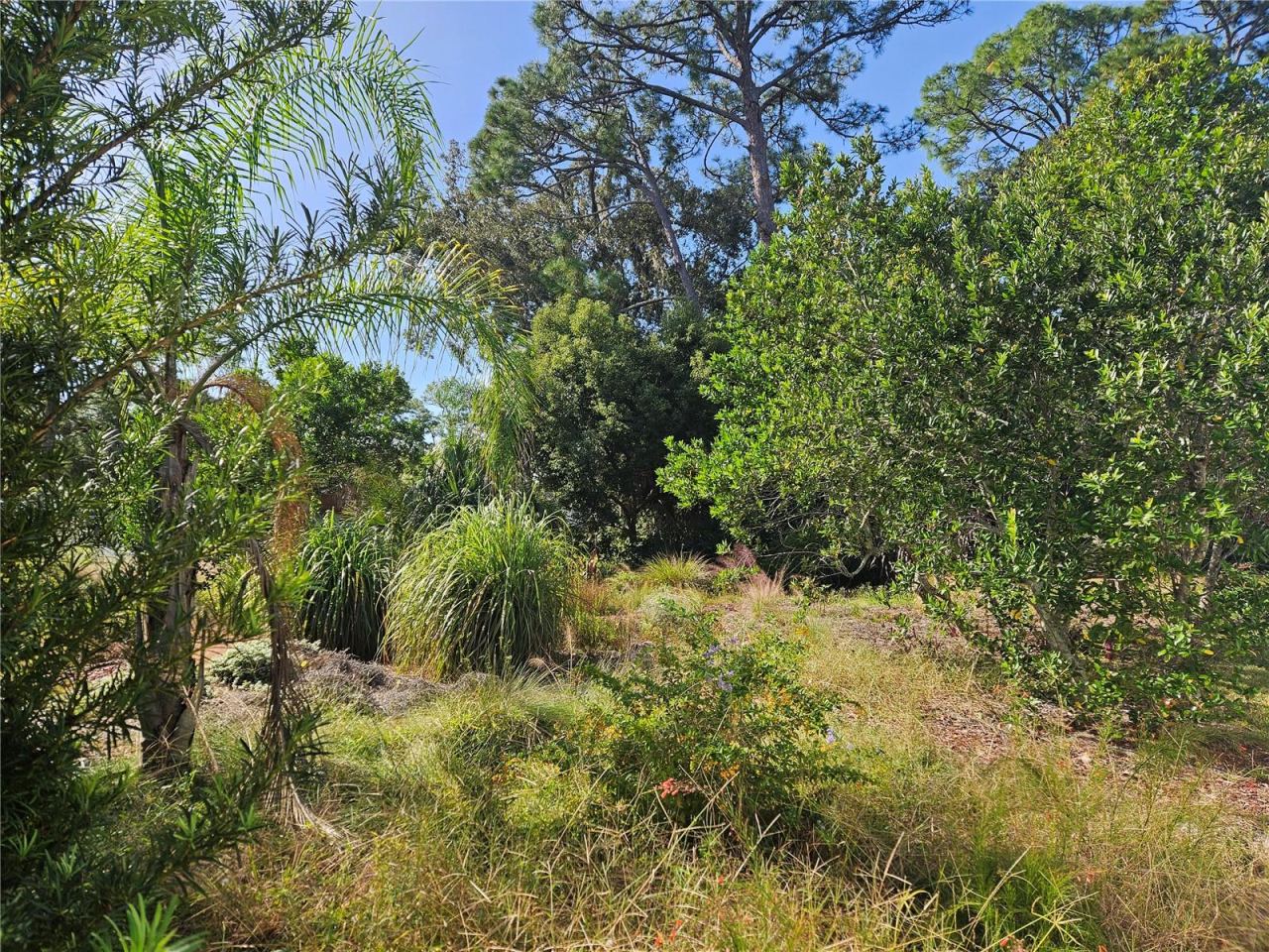 Photo 2 of Pine Tree Dr, Edgewater, FL 32141