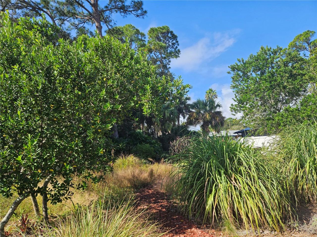 Photo 3 of Pine Tree Dr, Edgewater, FL 32141
