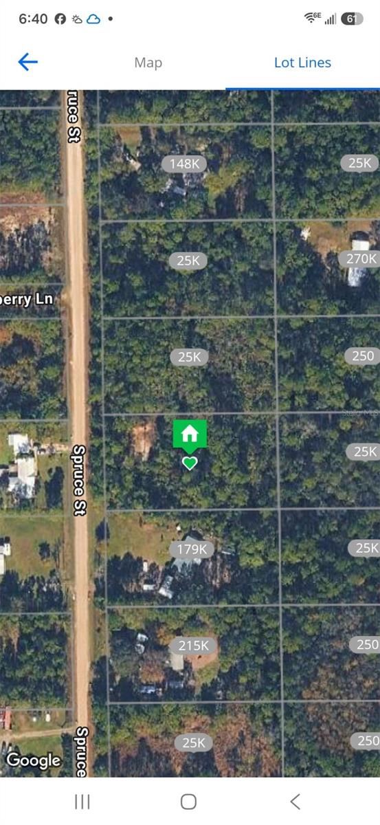 2737 Spruce St, Bunnell, FL 32110