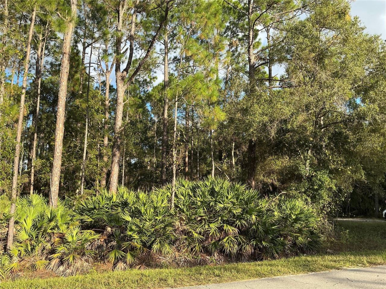 1589 Avocado Blvd, Bunnell, FL 32110