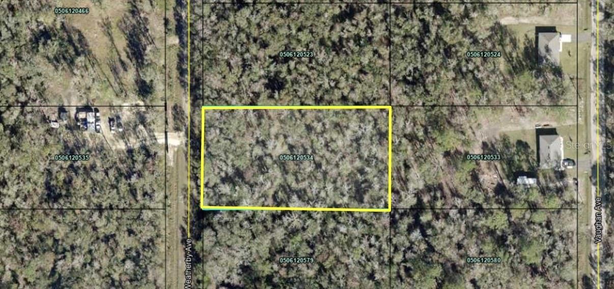 10150 Weatherby Ave, Hastings, FL 32145