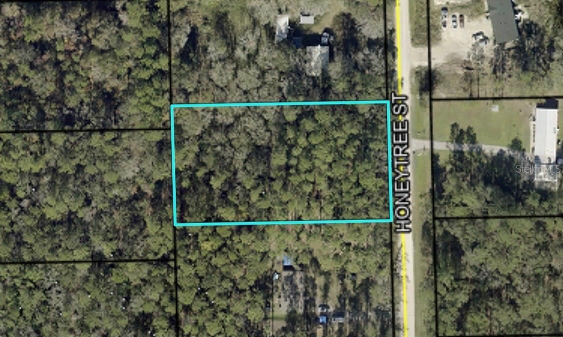 1292 Honeytree St, Bunnell, FL 32110