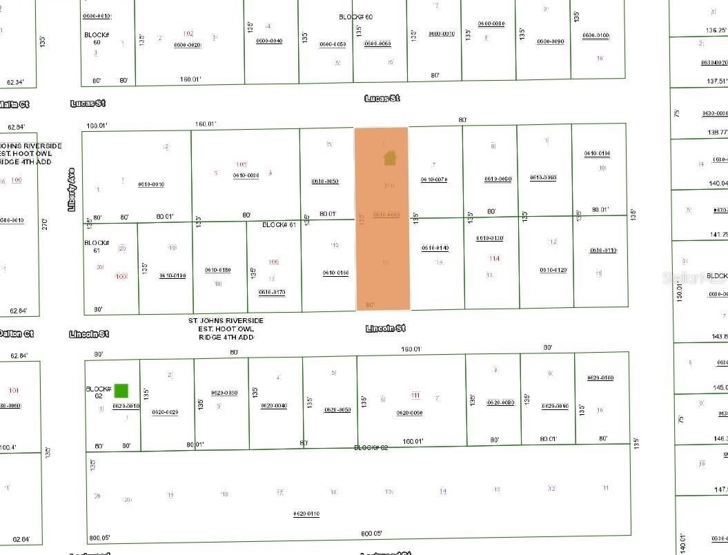 110 Lincoln St, Satsuma, FL 32189